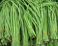 long_bean